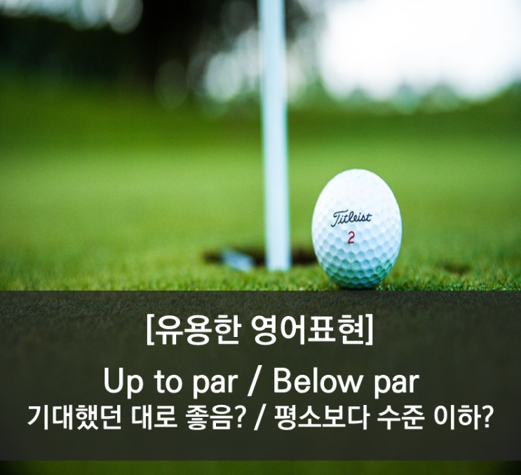 [영어 표현] up to par (=over par, up to scatch) / below par (=under par ...