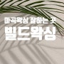 마곡왁싱 잘하는 곳을 찾는다면 빌드왁싱