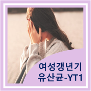 여성 갱년기 유산균 YT1 - 락토바실러스 애시도필러스