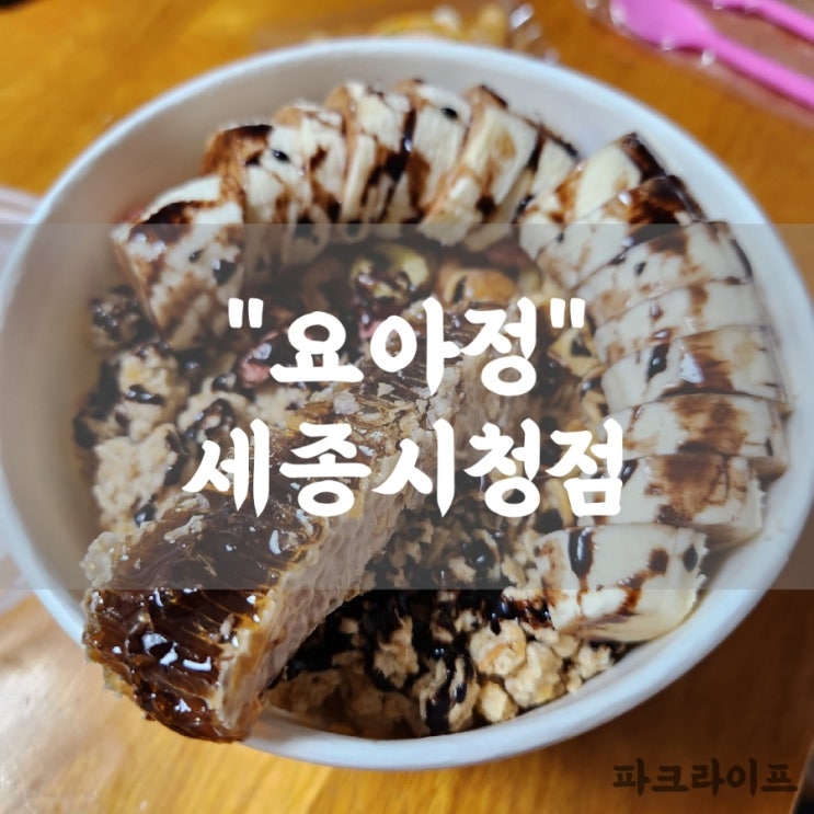 세종 요아정 새롬점 요거트 아이스크림의 정석 시청점 : 네이버 블로그