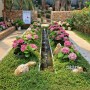 사시사철 초록 식물과 꽃을 볼 수 있는 서울식물원, 열대관 & 지중해관 & 낭만 수국전