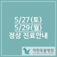 5/27(토) 석가탄신일 및 29(월) 대체공휴일 정상진료안내/반여동동물병원/반여착한동물병원/안락동동물병원/재송동동물병원/반송동물병원/강아지중성화/해운대구동물병원/강아지건강검진