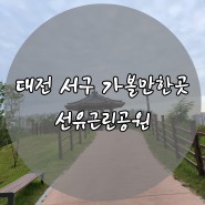대전 서구 가볼만한곳 선유근린공원