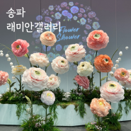 송파 가볼만한곳 래미안갤러리 서울 실내 꽃구경