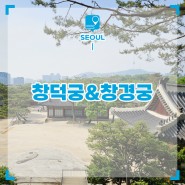서울 여행지 추천 당일치기 여행 서울 구경 창덕궁 창경궁