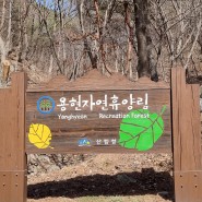 [충남 서산] 국립용현자연휴양림 숲속의집 304호 굴피나무