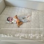 [아기침대]내돈내산 도노도노 패밀리킹 범퍼침대& 모달토퍼