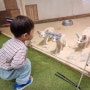 25개월 아기와 비오는 날 고양 쥬쥬랜드 실내동물원과 로봇공연 구경하며 추억쌓기