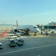 아시아나항공 OZ102 인천 나리타행 탑승기