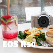 예쁜 브이로그 카메라 추천, 캐논 신제품 EOS R50 사용 후기