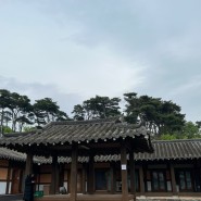 아쵸 일상 :: 즐거웠던 홍성 방문 / 홍성 달마당 스테이 추천
