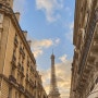 파리 여행 - 미슐랭 2스타 Maison Rostang, 에펠탑 포토 스팟