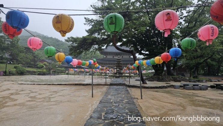 [블챌]부여에서 만난 무량사 비오는 날의 선사 : 네이버 블로그