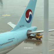 인천국제공항 제2여객터미널(ICN T2) 첨 가봤는데, 좋네?