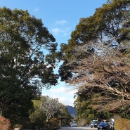 산책하기 좋은 미후네야마 라쿠엔 - 후쿠오카 근교 다케오 여행 코스 추천