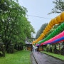 rainy 관음사 Jeju Island