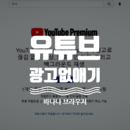 유튜브 광고 제거 무료로 없애기(바나나브라우저)