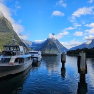 [2주간의 뉴질랜드 가족여행] 9일차-밀포드 사운드(Milford Sound)가는 길,에글린튼 벨리,미러레이크,몽키크릭