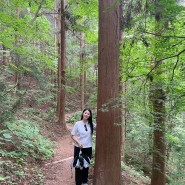 전남장성 축령산 편백나무숲 치유숲길 등산코스 쉬운 산책코스 추천