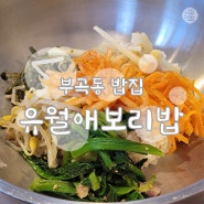 【유월애보리밥】 건강한 밥 한 그릇이 생각난다면 부곡동 보리밥