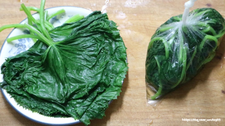 곰취보관법 곰취먹는법 곰취 생으로 데치기 : 네이버 블로그