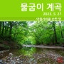 [등산] 흘리계곡~물굽이 계곡~박달나무 쉼터 트레킹(2023. 5. 27)