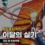 [미대입시 이달의 실기]기초디자인 / 강남 랩 미술학원