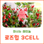 로즈힙 3CELL 마시는 레티놀의 효능