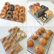 발효빵 정규반 클래스 수업공지 / 원데이클래스