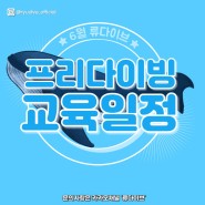 [류다이브] 6월 프리다이빙 강습 및 교육 일정 공유 (서울/용인/안양/평촌)