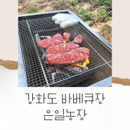 서울 근교 강화도 셀프바베큐장 은일농장 ; 고기 싸들고 가서 숯불에 구워먹기❤