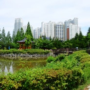 중앙체육공원 장미