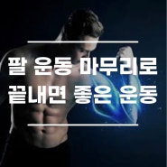 이두, 삼두 팔운동 마무리로 하면 좋은 운동!! 애오개 PT 헬스장 피티