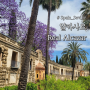 [스페인 여행] 세비야 여행의 꽃 : 알카사르 궁전 Real Alcazar