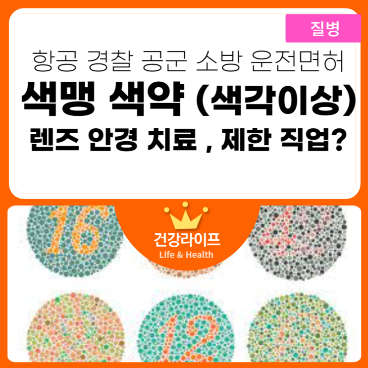 색맹과 색약 차이 , 안경 렌즈 치료(직업 항공 경찰 공군 운전면허) : 네이버 블로그