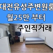 대전 [주인직거래]조용하고 아늑한 대전유성주변원룸