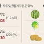 감자, 옥수수 대신 ‘돈이 되는’ 사과나 복숭아 재배가 급속히 늘고 있다.