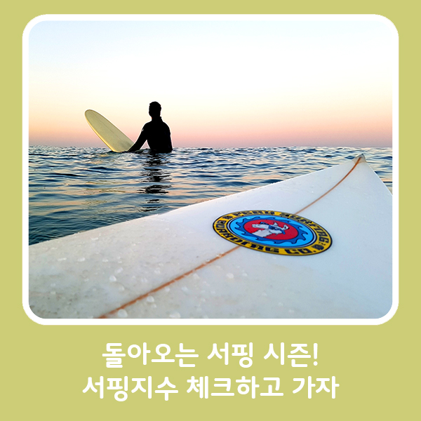 돌아오는 서핑 시즌! 서핑보드 챙겨서 서핑지수 체크하고 가자 (ft. 국립해양조사원) : 네이버 블로그