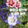 부산 아세안 문화원 마켓 장산역