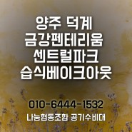 양주 덕계 금강펜테리움 센트럴파크 새집증후군 시공 "습식베이크아웃" 후기