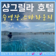 샹그릴라 탄중아루 수영장 스타라운지 이용방법!