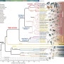 영장류 유전자 지도를 작성하는 영장류 게놈 프로젝트