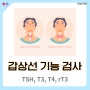 갑상선 기능검사, T4, T3,FreeT4, rT3, 검사지표