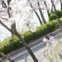 서울 야외 웨딩스냅 벚꽃시즌 사진촬영 리얼리그램