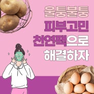 여름철 피부관리 홈케어 천연팩 계란흰자팩/오이팩/감자팩 만들기