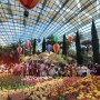 싱가포르/ 가든스 바이 더 베이 - ① 플라워 돔 : Gardens by the Bay - Flower Dome