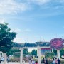2023 로즈아워 페스타 : 서울 갈만한곳 올림픽공원 장미축제/들꽃마루