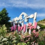 [서울근교여행] 장미의 계절 가족 연인 친구와 여름꽃구경 하기 좋은 곳 부천 도당근린공원 백만송이장미원