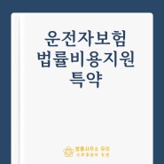 운전자보험 법률비용지원 특약으로 민사소송 변호사 선임비용을 받을 수 있습니다.