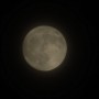 6월 3일 촬영한 둥근 달 입니다.